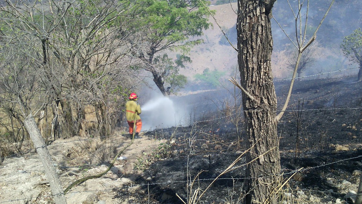 Bomberos atiende incendio en caserío Casa de Tejas en Metapán