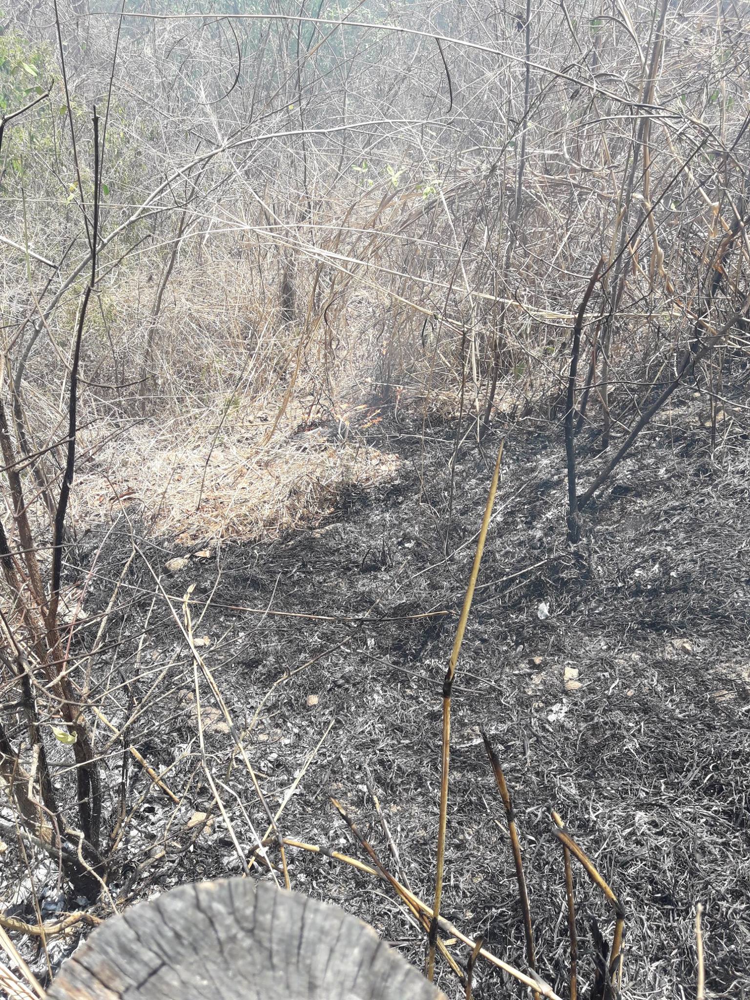Continúan incendios de maleza seca en el municipio de Metapán