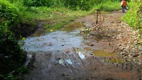 Fuga de agua en cantón Loma Alta afecta a casi 200 casas