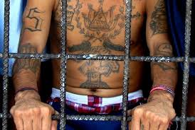 Pandillero de la MS condenado a 20 años de prisión por homicidio en Ahuachapán