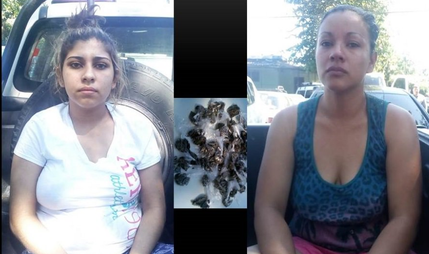 PNC detiene a  2 mujeres en Las Palmas, San  Salvador por los delitos de extorsión y posesión y tenencia con fines de tráfico.