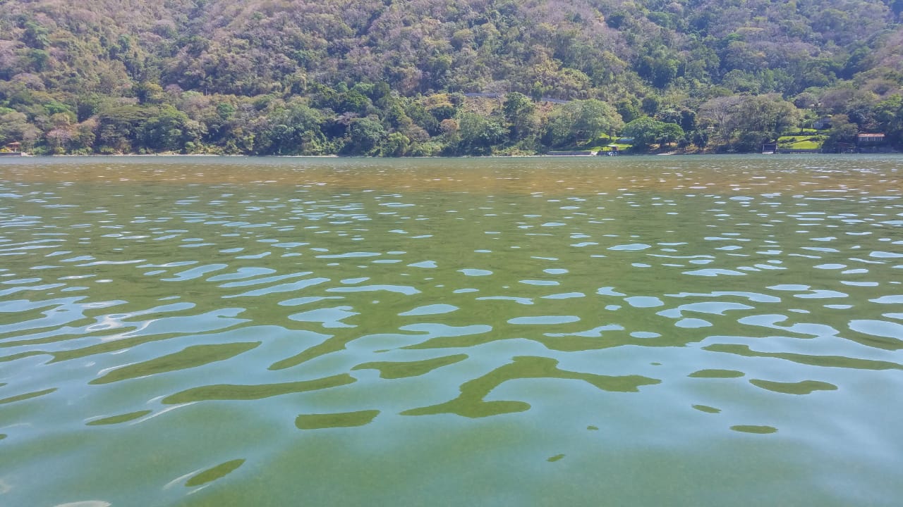 Lago de Coatepeque registra nuevo cambio de color por proliferación de algas.