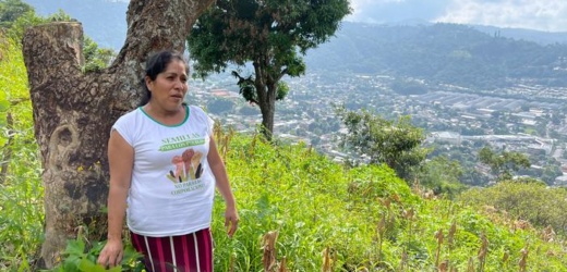 El Salvador: la lucha contra el cambio climático en la vida cotidiana