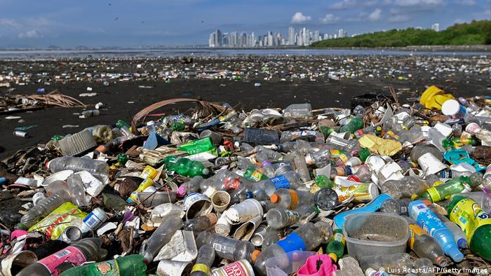 WWF alerta sobre masivos residuos plásticos en todos los océanos