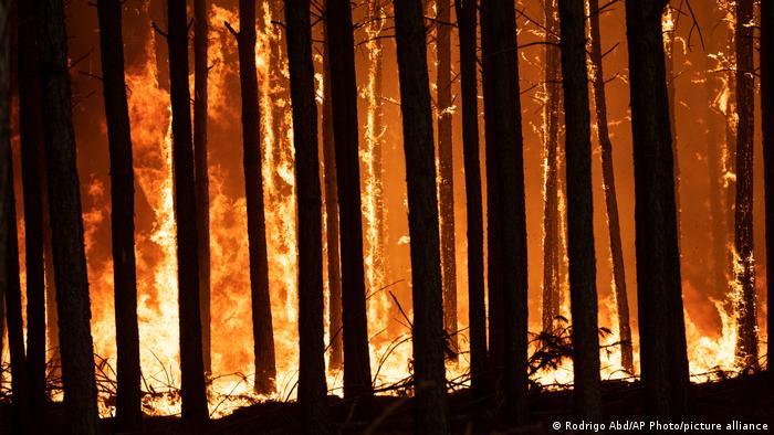 Lluvias alivian incendios en Argentina, que espera ayuda internacional