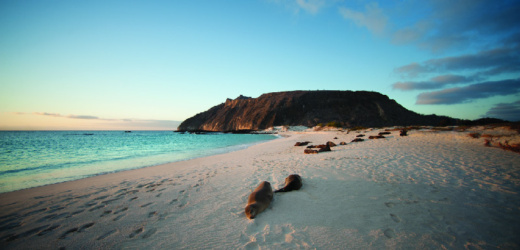 117 millones de dólares para luchar contra el cambio climático en las islas Galápagos