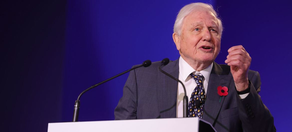 David Attenborough recibe el máximo galardón ambiental de la ONU