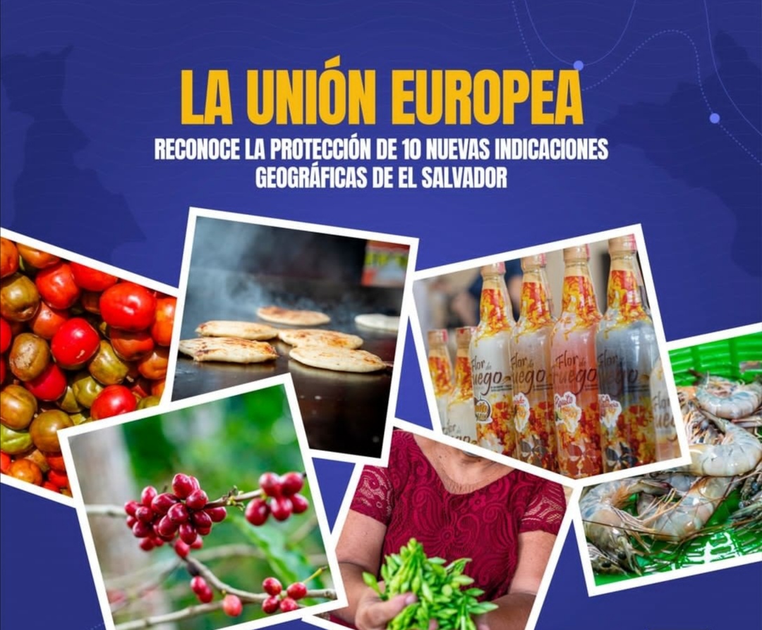 La Unión Europea reconoce la protección de 10 nuevas indicaciones geográficas de productos salvadoreños!