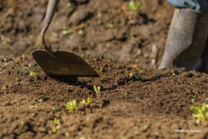 Países de América Latina y el Caribe compartieron métodos y prácticas para enfrentar la escasez de fertilizantes producto de la guerra en Ucrania