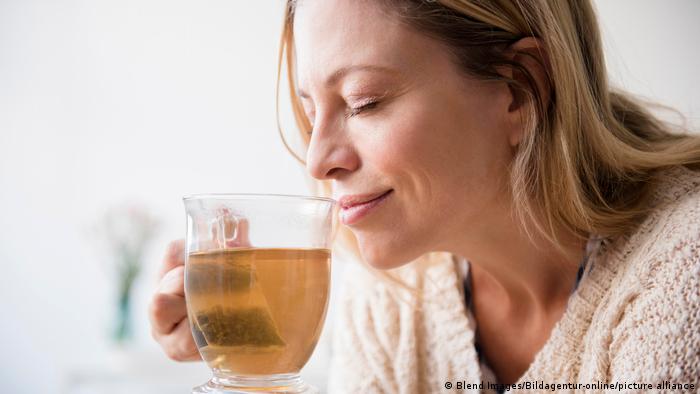 Científicos en Alemania encuentran material genético de 400 especies de insectos en una sola bolsa de té