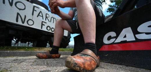 Los Países Bajos buscan reducir el nitrógeno como abono: los granjeros se oponen ferozmente