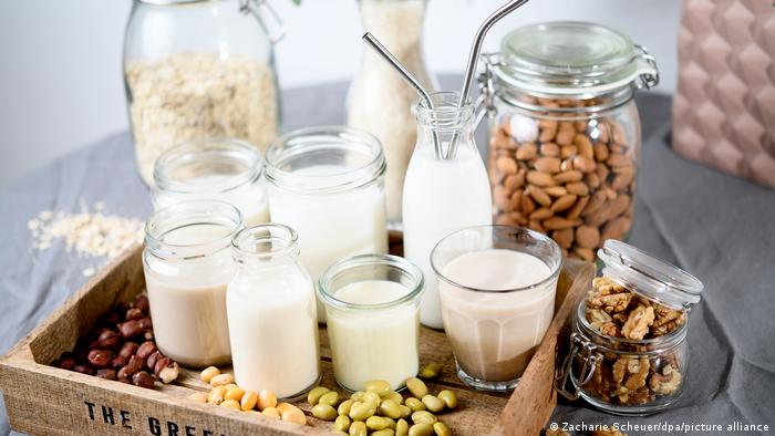Leches de origen vegetal no logran suplir los nutrientes de la leche de vaca, dice estudio