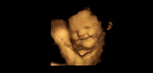 Estudio revela primera evidencia directa de que los bebés reaccionan al gusto y olfato desde el útero