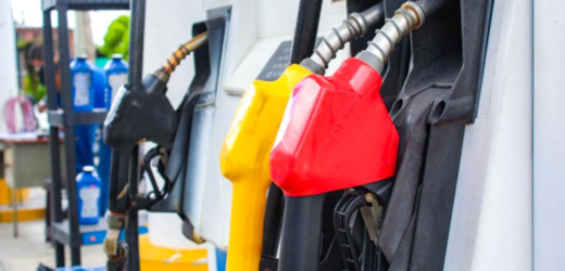 Pleno avala renovación de precios de combustibles para continuar protegiendo el bolsillo de consumidores