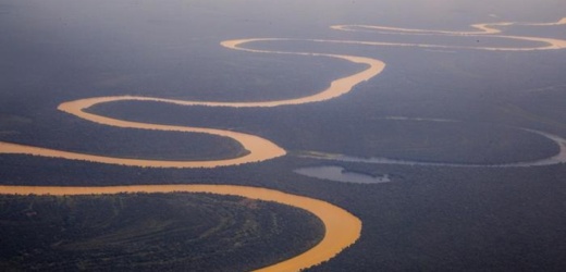 COP27: ¿una nueva oportunidad para la Amazonía?