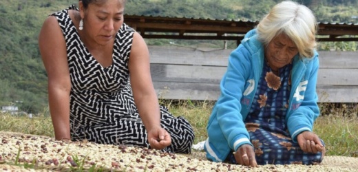 Ochocientos pueblos indígenas viven en precariedad en América Latina