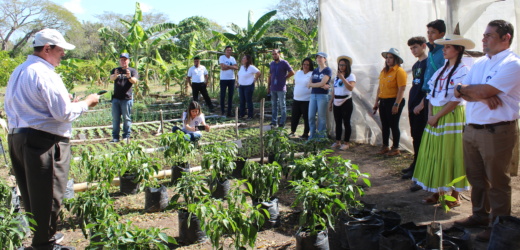 Nuestro Pequeños Hermanos El Salvador implementa proyecto “Diversificación de producción agrícola y láctea orgánica para más de 1,500  beneficiarios