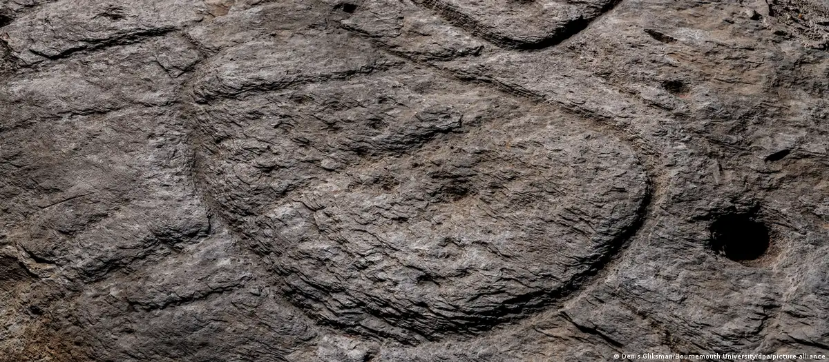 Arqueólogos afirman que roca grabada es un «mapa del tesoro»