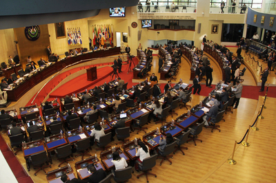 Asamblea Legislativa abre proceso para elección del presidente del TEG