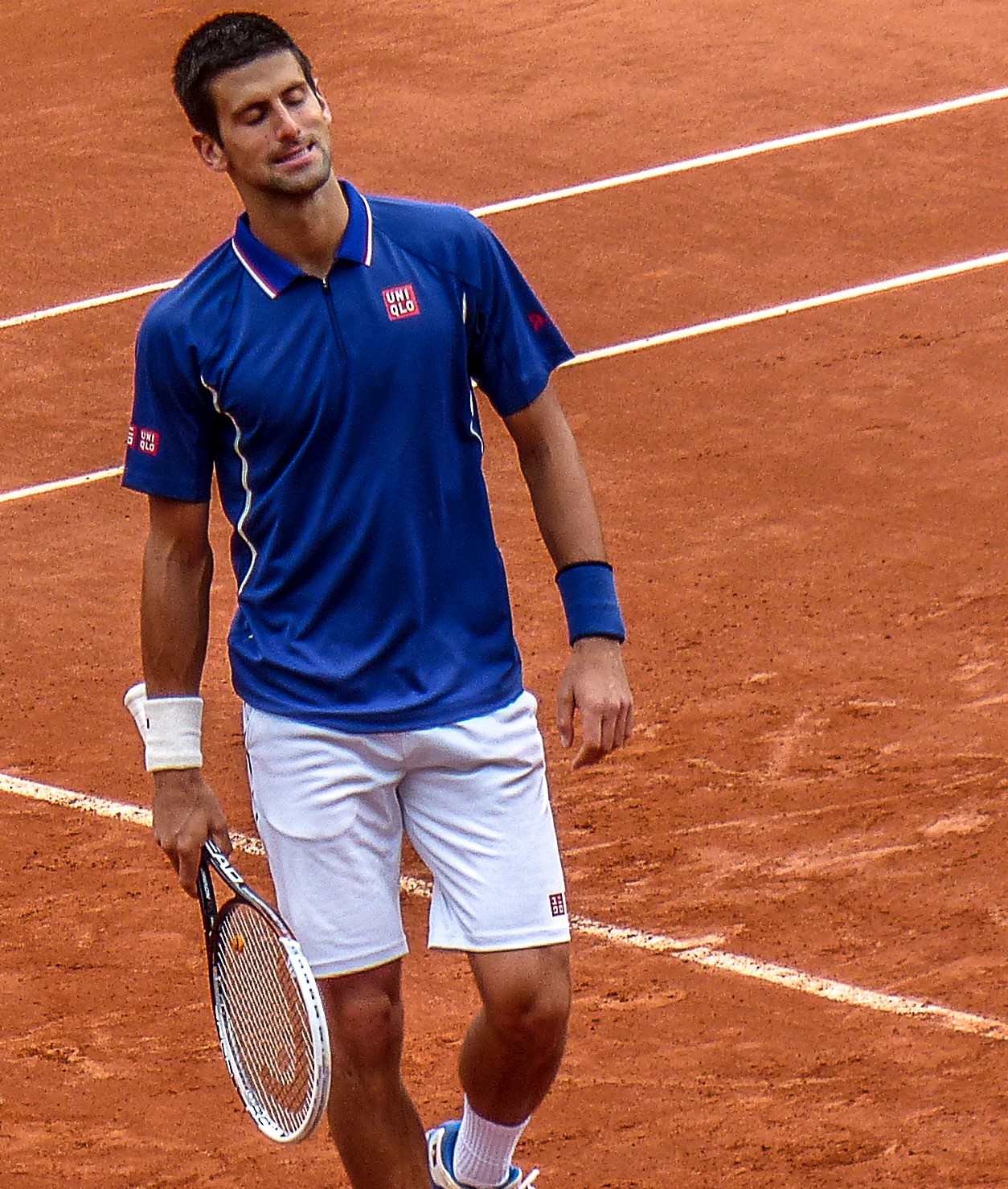 Dominic Thiem eliminó a Novak Djokovic en Roland Garros