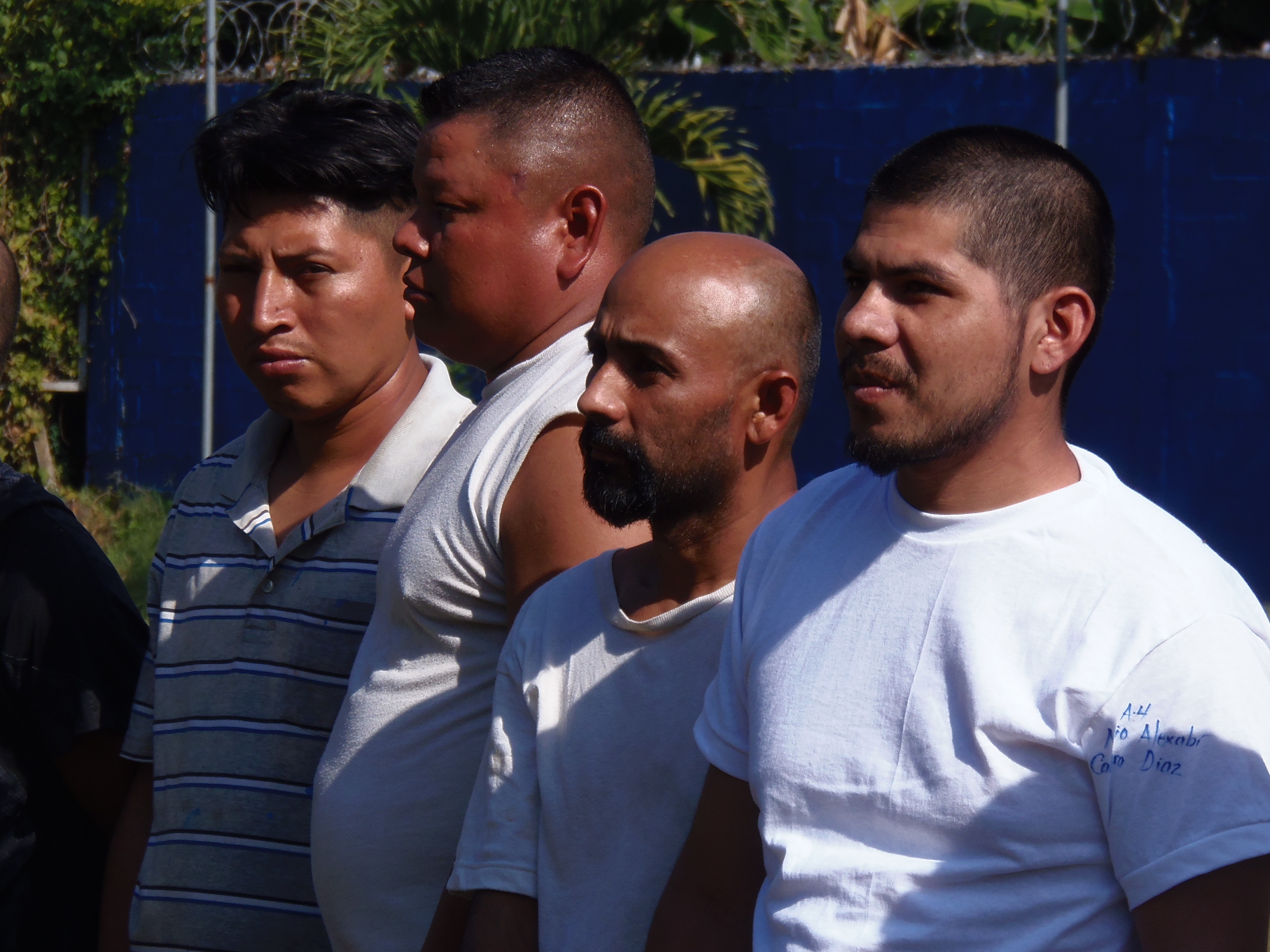 Procesan a miembros de la estructura criminal Los Arcenses Malditos Locos Salvatruchos