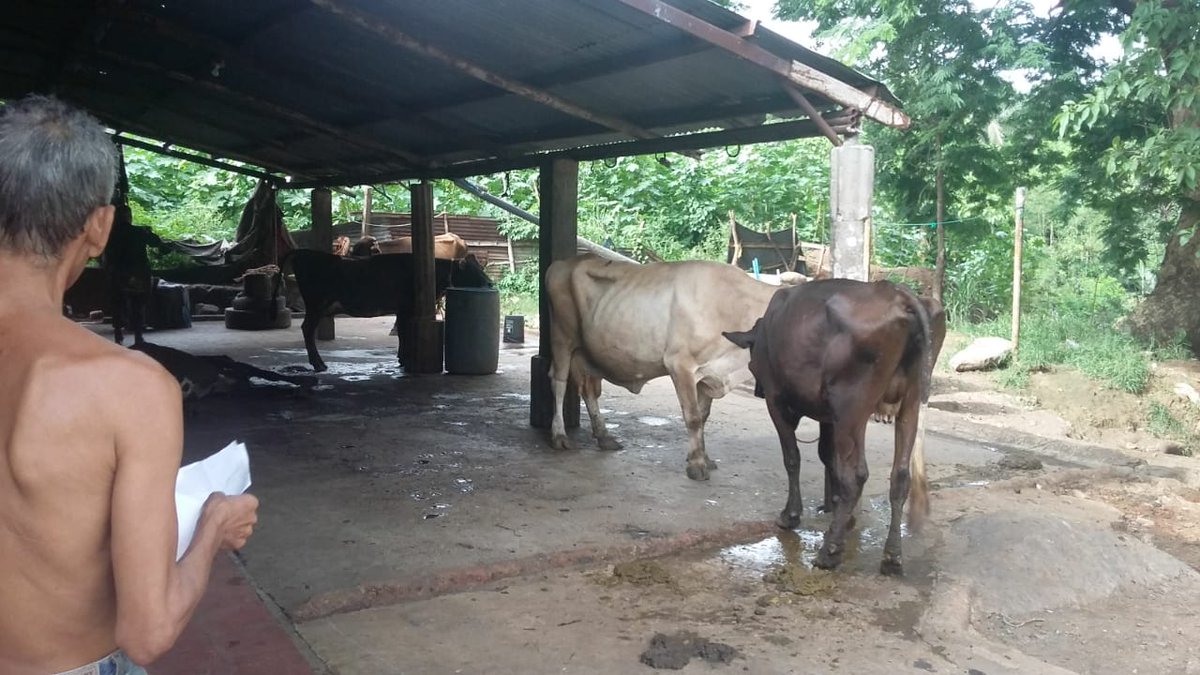 Encuentran reces sin registros en casa comunal de Sensunapán -Sonsonate