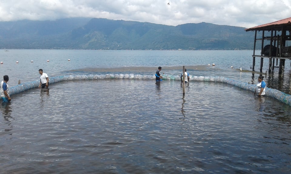Colocan primera  biobarda en El Salvador, familias del lago de Coatepeque serán beneficiadas