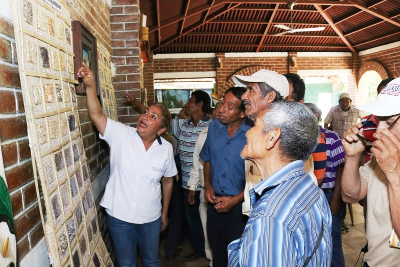 CENTA CAPACITA AL CONSEJO NACIONAL DE PUEBLOS ORIGINARIOS DE TACUBA SOBRE CONSERVACIÓN DE SEMILLA ANCESTRAL