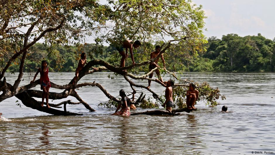 AMÉRICA LATINA ¿Por qué la Amazonía es tan importante para el mundo?