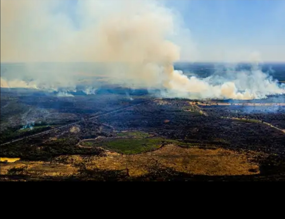 El Pantanal, el mayor humedal del mundo, se quema en Sudamérica