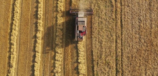 Bolsa de Valores: trigo sube a nivel más alto desde 2008