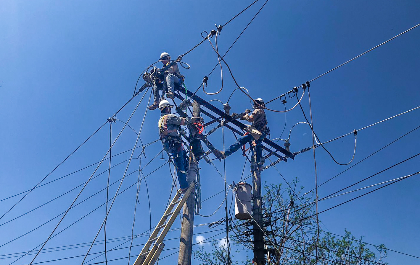AES CLESA realiza mantenimiento de red eléctrica en Santa Ana  Santa Ana, 18 de mayo de 2022