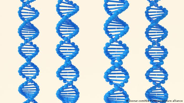 Descubren causa genética del enigmático lupus en el genoma de una niña española