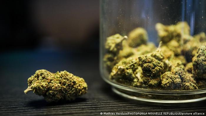 Alemania avanza hacia la legalización del cannabis