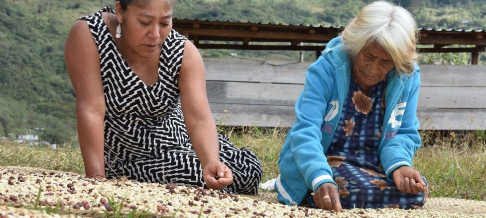 Ochocientos pueblos indígenas viven en precariedad en América Latina