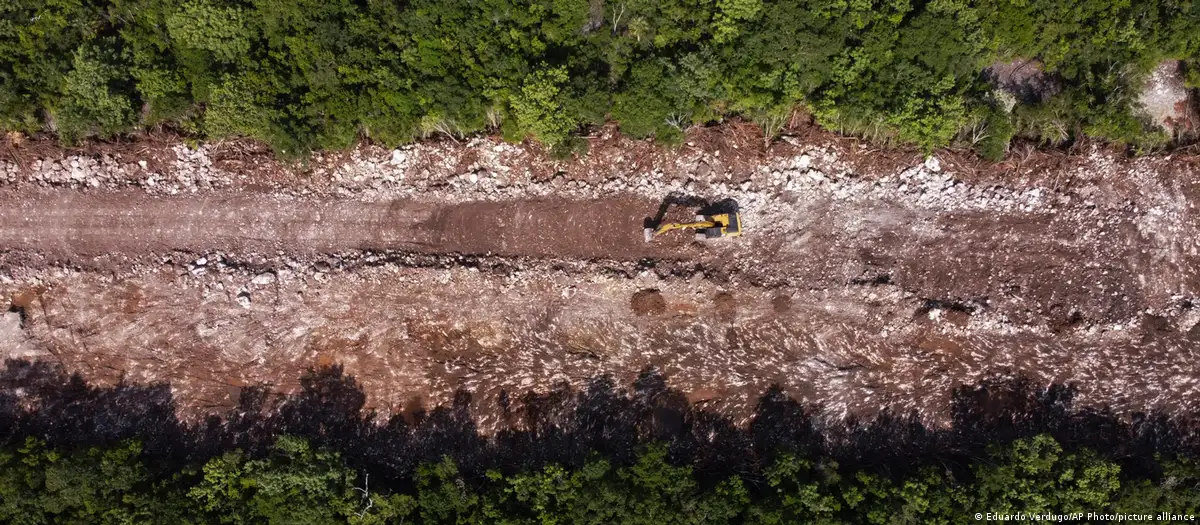 Deforestación en México, «receta perfecta para el desastre»