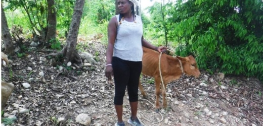 Las mujeres rurales de Haití invierten en sí mismas