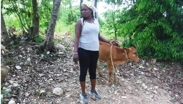Las mujeres rurales de Haití invierten en sí mismas