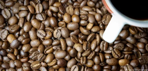 Empresa lanza café sin grano y con producción sustentable