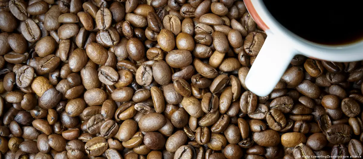 Empresa lanza café sin grano y con producción sustentable