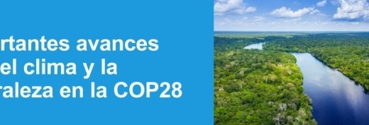 Financiamiento Climatico y COP28.