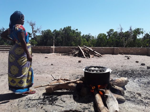 Mujeres productoras de biomasa: la mano de obra más numerosa e invisible de la energía