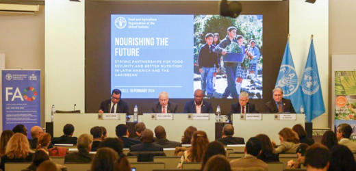 La FAO pide fortalecer las alianzas para abordar la lucha contra el hambre y la malnutrición