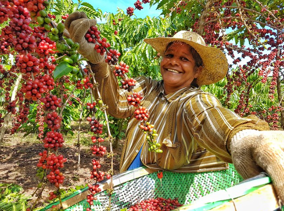 FAO movilizará US$ 8,15 millones para el empoderamiento de las mujeres rurales en América Latina y el Caribe