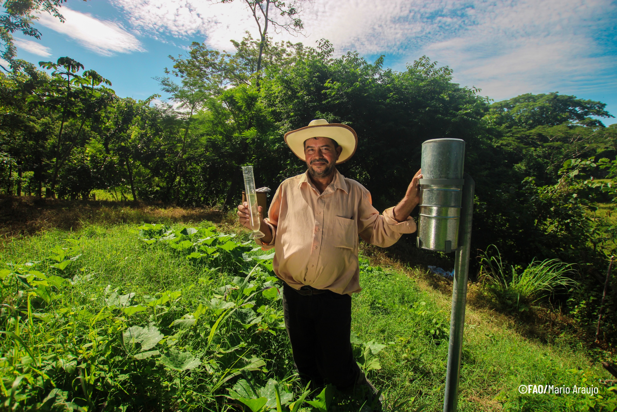 Región SICA avanza hacia sistemas agroalimentarios más resilientes y sostenibles