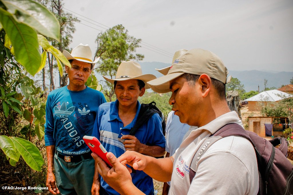 Foro de Ciencia e Innovación 2025 de la FAO destacó el potencial transformador de los jóvenes rurales con formación científica