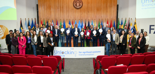 FAO propone soluciones financieras innovadoras que aceleren la transformación de los sistemas agroalimentarios