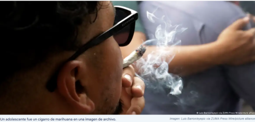 El peligro del cannabis para los adolescentes