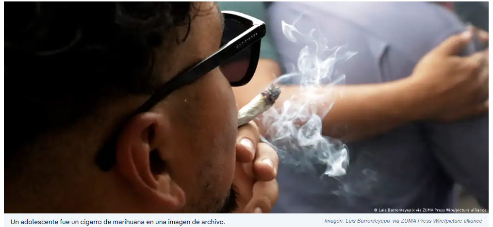 El peligro del cannabis para los adolescentes
