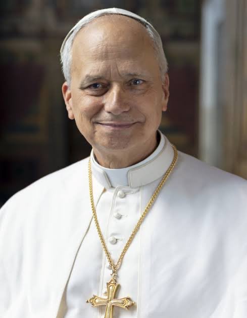 El Papa se sometió a una cirugia para remover  nódulo pulmonar, con éxito